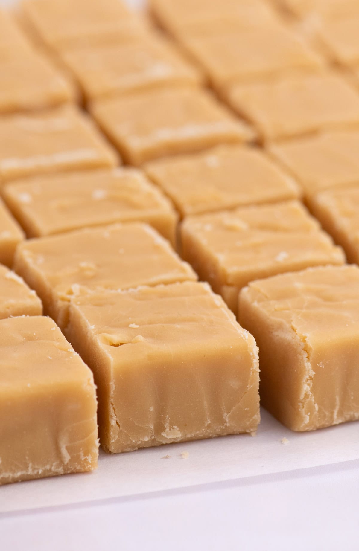 Traditional Scottish tablet squares in close-up, showing the classic grainy texture of this homemade recipe.