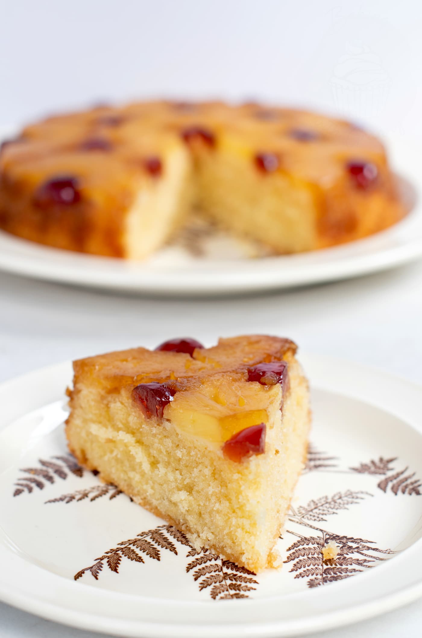Slice of Pineapple Upside Down Cake. Delicious sponge base, with tinned pineapple and glace cherries on top.