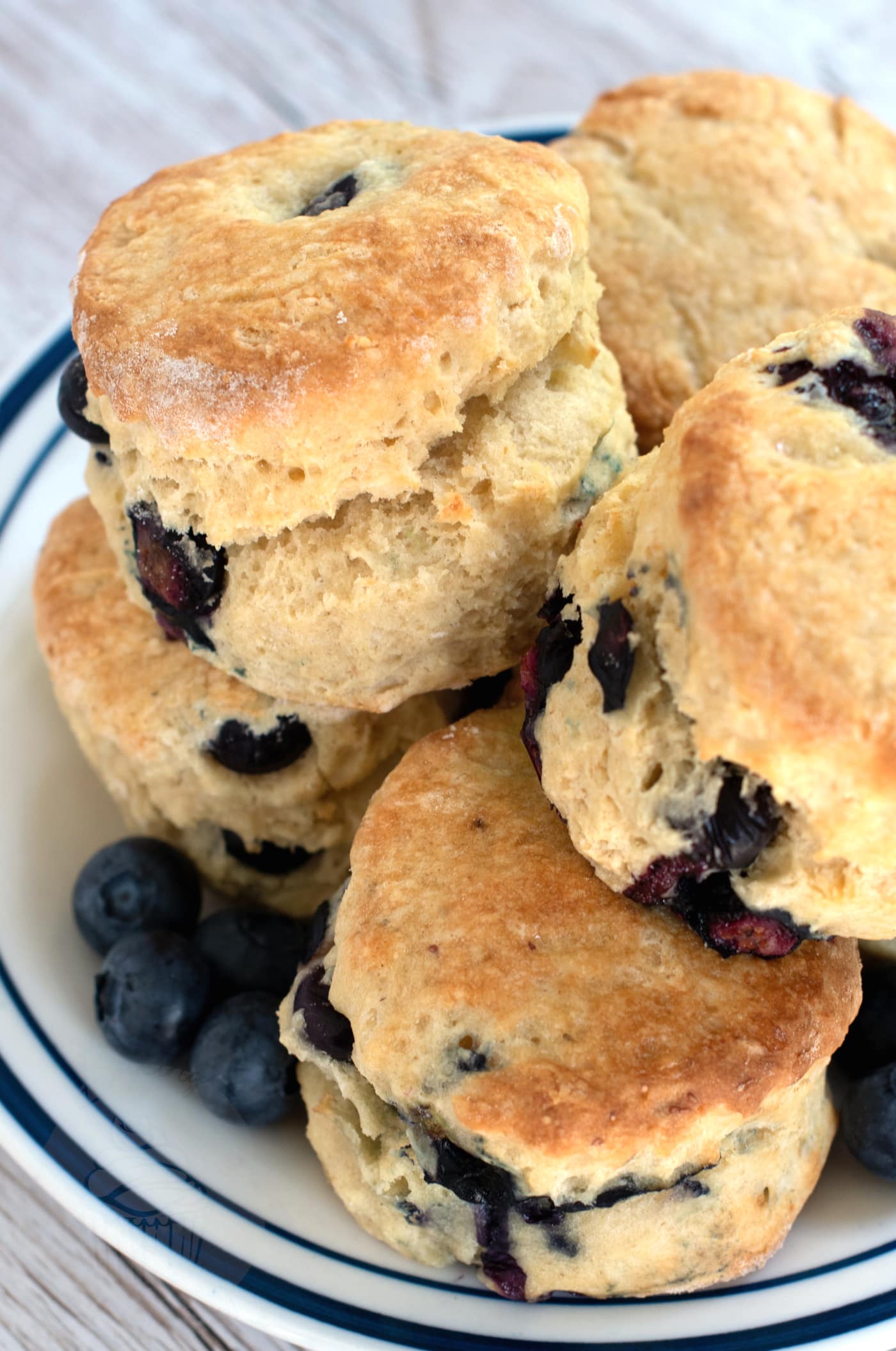 Blueberry Scones on a plate, with extra fresh blueberries at the side. Delicious when freshly baked, served with butter and jam.