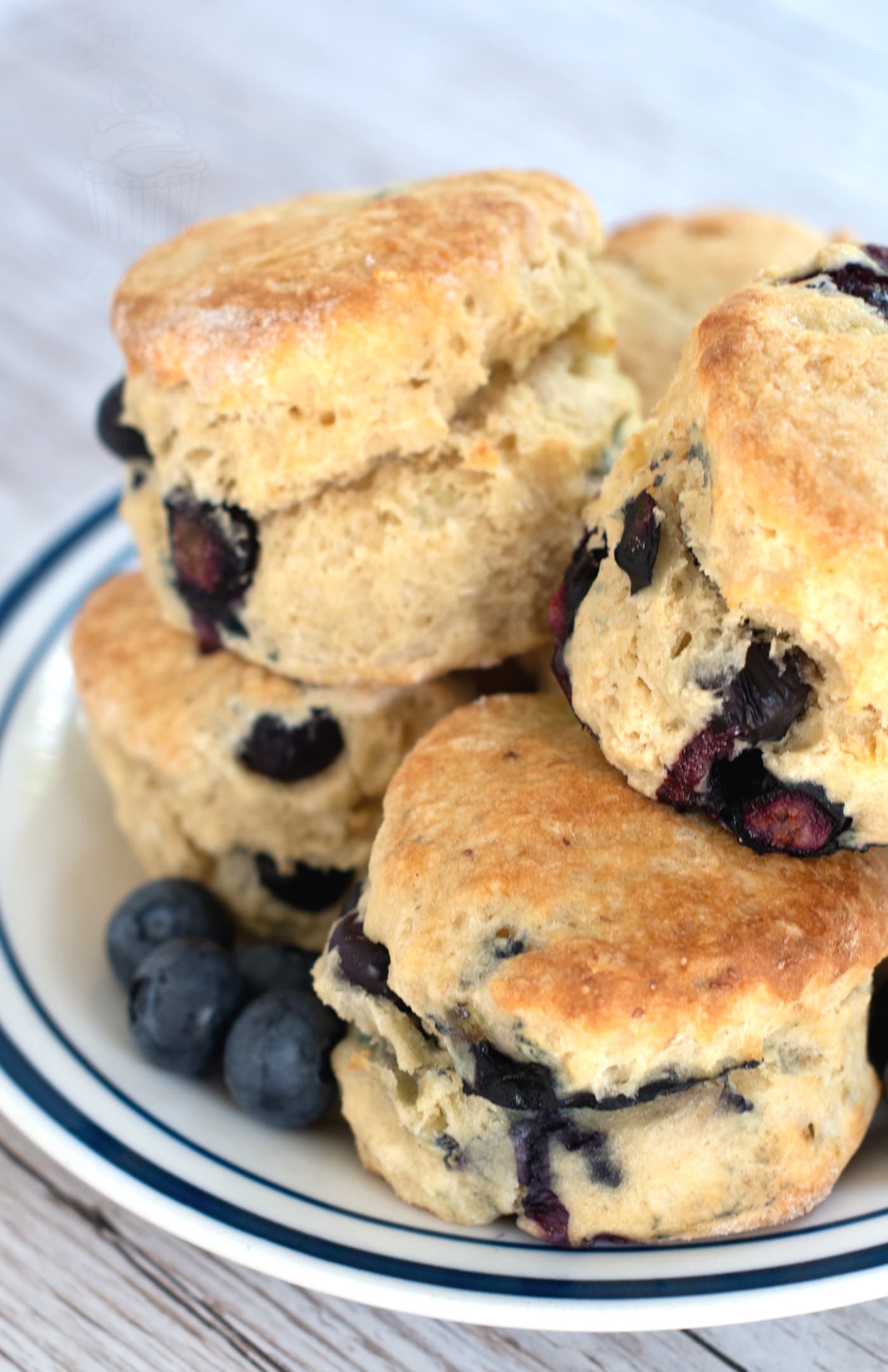Pile of blueberry scones on a white plate with a blue rim. Extra fresh blueberries are on the plate too.