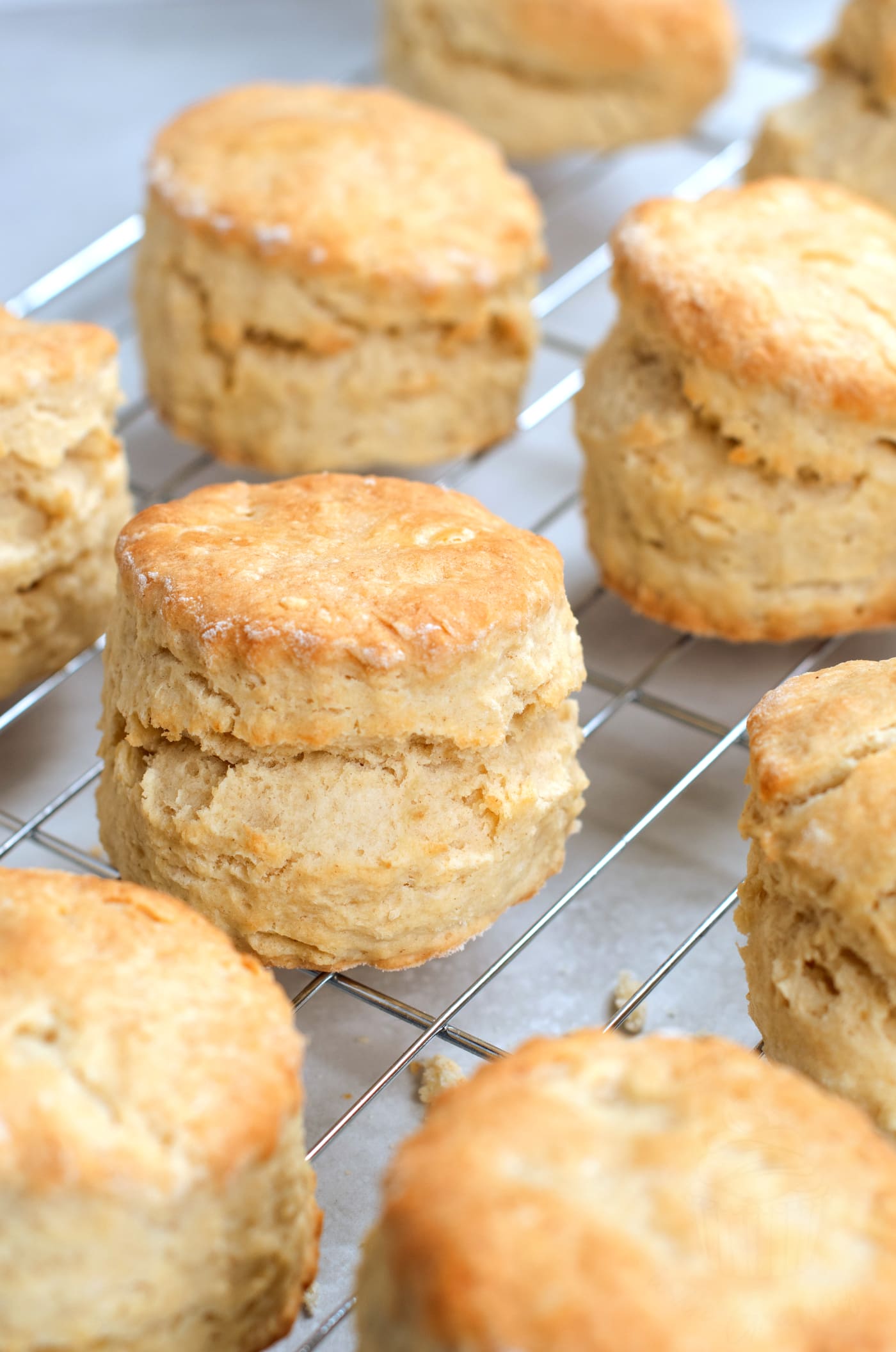 Plain Scones recipe from Baking with Granny. The best plain scone recipe, with guaranteed results.
