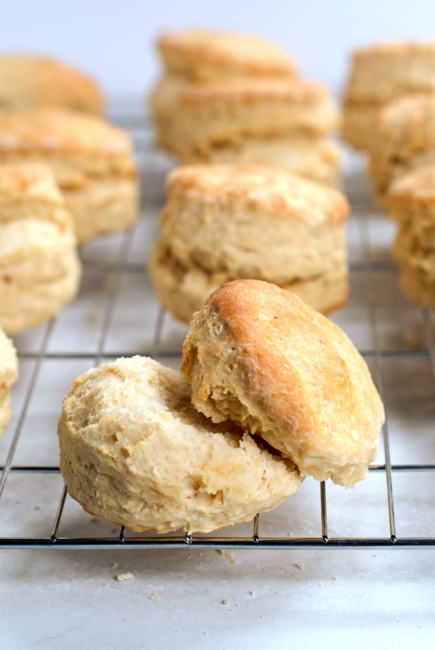 Recipe for Plain Scones from Baking with Granny. The perfect scone recipe, that can be customised to be whatever kind of scone you like.