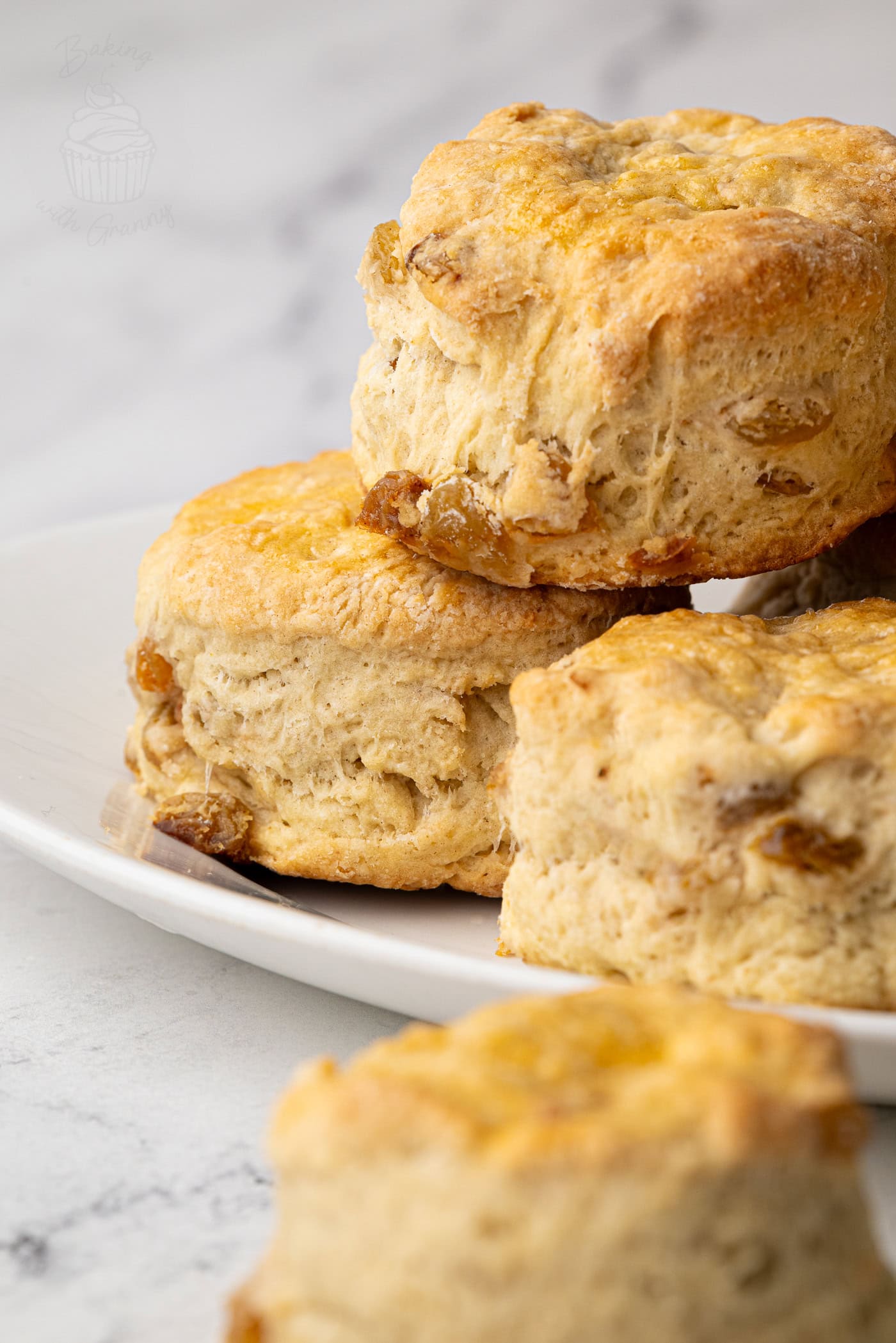 Close-up of Fruit Scones on a white plate, highlighting the golden crust and juicy sultanas.
