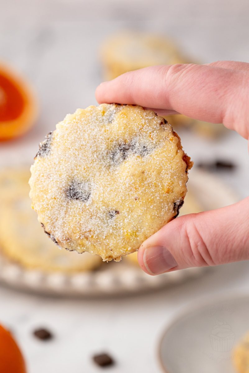Chocolate Orange Shortbread Hand holding a single chocolate orange shortbread biscuit close to the camera, showing the sugar-dusted surface and chocolate pieces.
